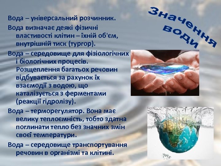 Вода – універсальний розчинник. Вода визначає деякі фізичні властивості клітин – їхній об'єм, внутрішній