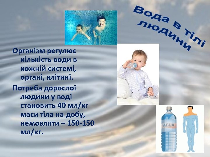 Організм регулює кількість води в кожній системі, органі, клітині. Потреба дорослої людини у воді