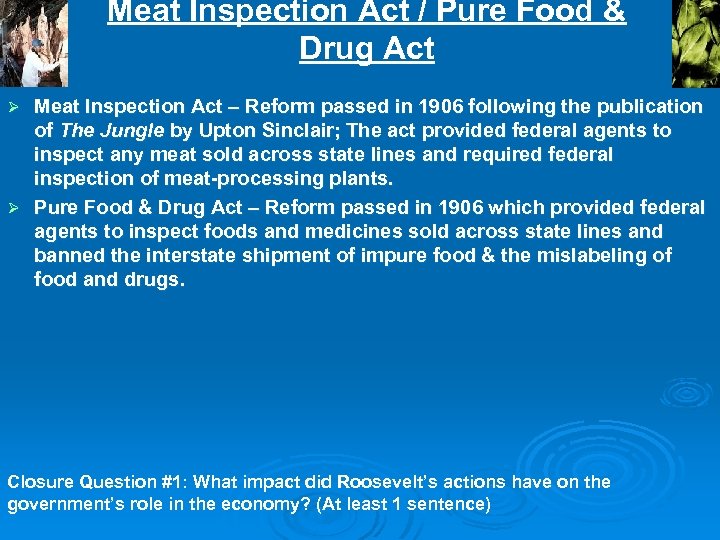 Meat Inspection Act / Pure Food & Drug Act Meat Inspection Act – Reform