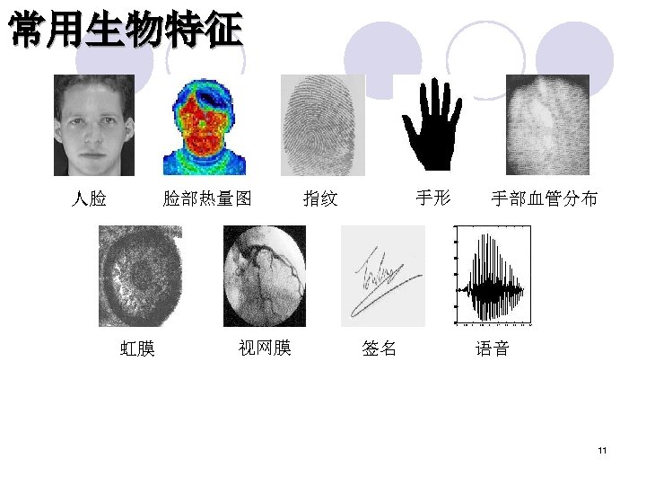 常用生物特征 人脸 脸部热量图 虹膜 视网膜 手形 指纹 签名 手部血管分布 语音 11 