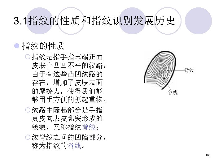3. 1指纹的性质和指纹识别发展历史 l 指纹的性质 ¡ 指纹是指手指末端正面 皮肤上凸凹不平的纹路， 由于有这些凸凹纹路的 存在，增加了皮肤表面 的摩擦力，使得我们能 够用手方便的抓起重物。 ¡ 纹路中隆起部分是手指 真皮向表皮乳突形成的