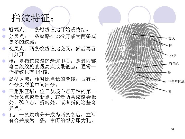 指纹特征： l 脊端点：一条脊线在此开始或终结。 l 分叉点：一条纹路在此分开成为两条或 更多的纹路。 l 交叉点：两条纹线在此交叉，然后再各 自分开。 l 核：是指纹纹路的渐进中心，是最内部 弯曲纹线处的最高点或最低点，通常一 个指纹只有1个核。 l