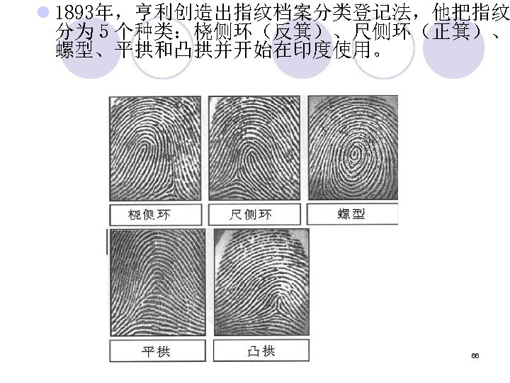 l 1893年，亨利创造出指纹档案分类登记法，他把指纹 分为５个种类：桡侧环（反箕）、尺侧环（正箕）、 螺型、平拱和凸拱并开始在印度使用。 66 