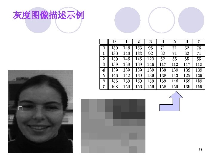 灰度图像描述示例 73 