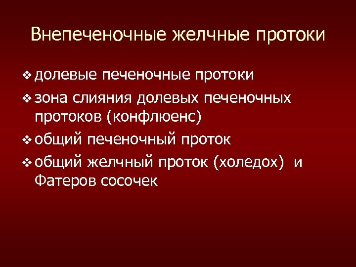 Внепеченочные желчные протоки v долевые печеночные протоки v зона слияния долевых печеночных протоков (конфлюенс)
