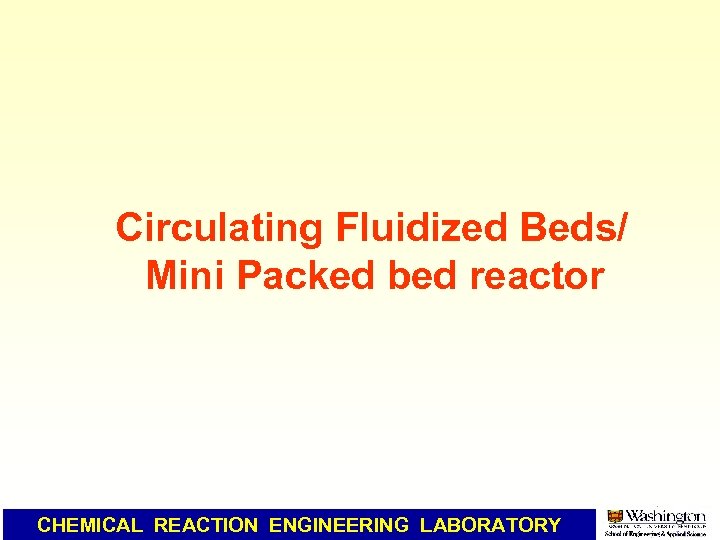 Circulating Fluidized Beds/ Mini Packed bed reactor CHEMICAL REACTION ENGINEERING LABORATORY 