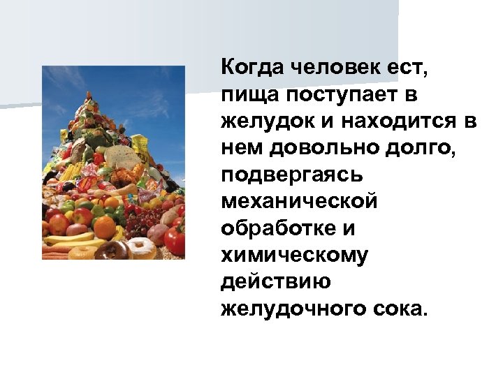Когда человек ест, пища поступает в желудок и находится в нем довольно долго, подвергаясь