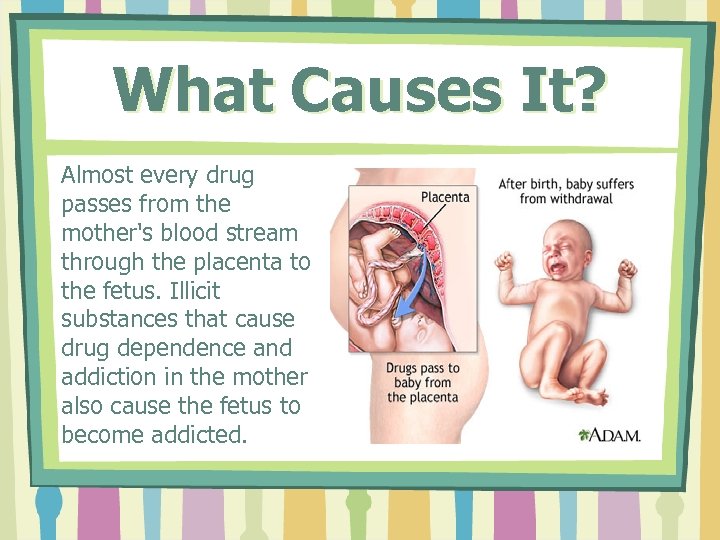What Causes It? Almost every drug passes from the mother's blood stream through the