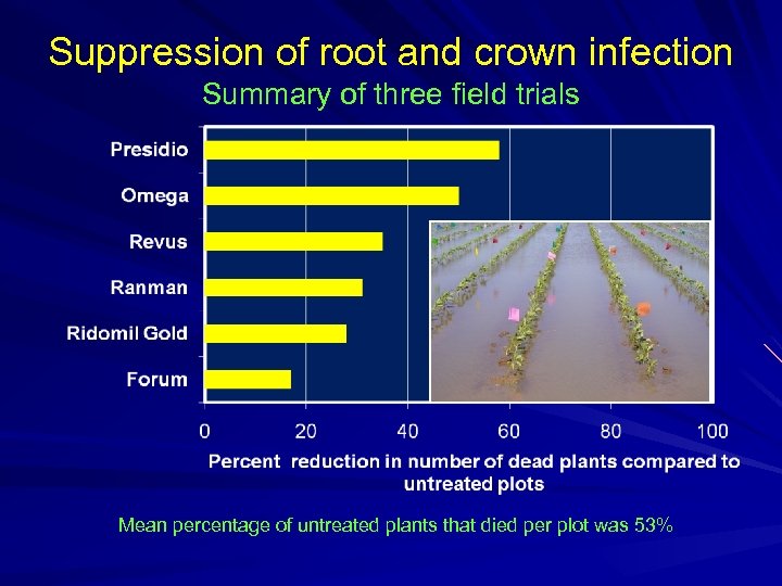 Suppression of root and crown infection Summary of three field trials Mean percentage of