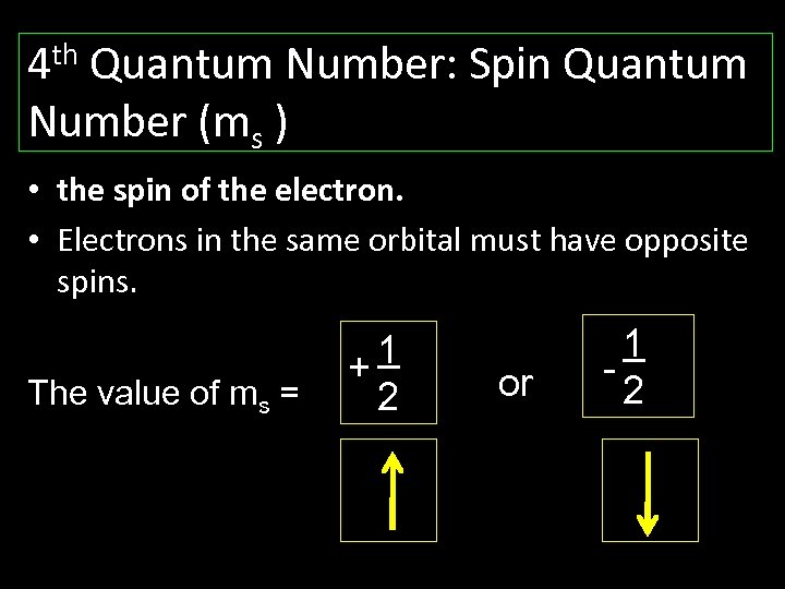 th 4 Quantum Number: Spin Quantum Number (ms ) • the spin of the