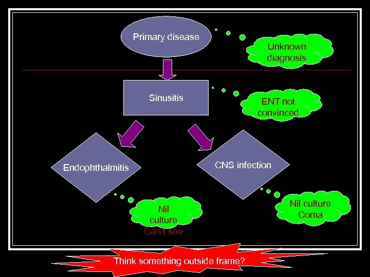 Primary disease Unknown diagnosis Sinusitis ENT not convinced CNS infection Endophthalmitis Nil culture Can’t