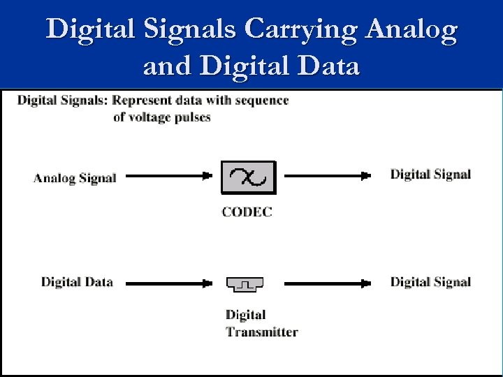 Digital Signals Carrying Analog and Digital Data 