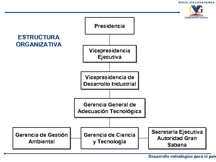 Somos una sola empresa Presidencia ESTRUCTURA ORGANIZATIVA Vicepresidencia Ejecutiva Vicepresidencia de Desarrollo Industrial Gerencia