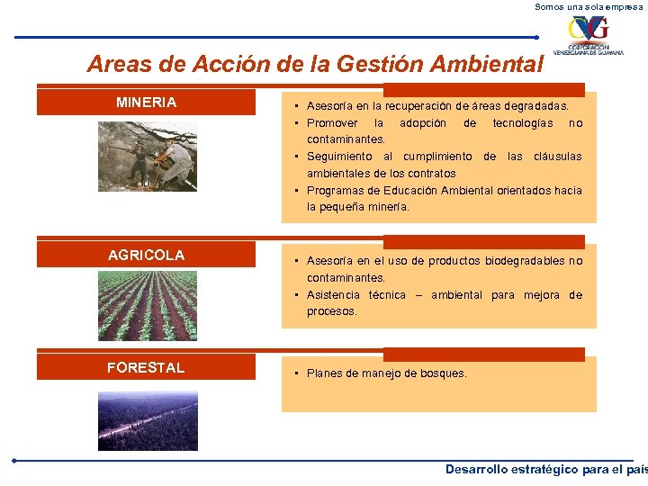 Somos una sola empresa Areas de Acción de la Gestión Ambiental MINERIA AGRICOLA FORESTAL