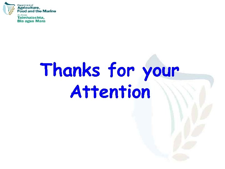 Thanks for your Attention 