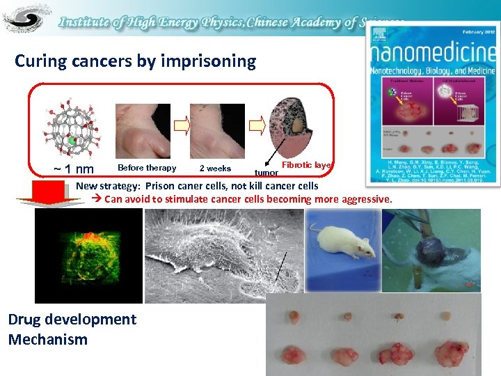 Curing cancers by imprisoning ~ 1 nm Before therapy 2 weeks tumor Fibrotic layer