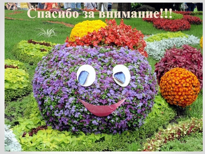 Спасибо за внимание!!! 38 