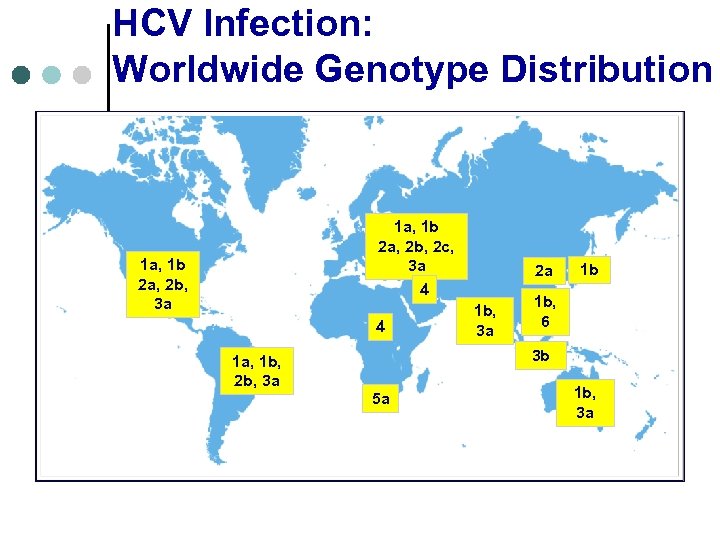 HCV Infection: Worldwide Genotype Distribution 1 a, 1 b 2 a, 2 b, 2