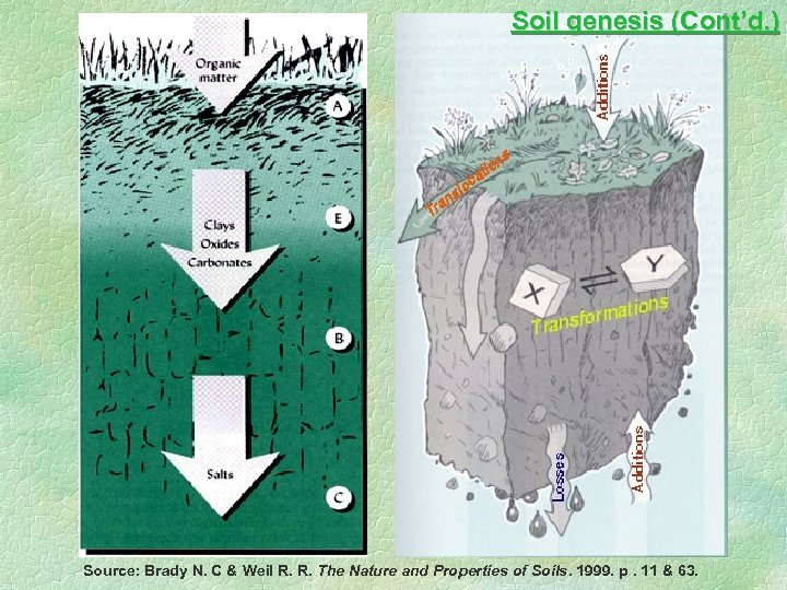 Soil genesis (Cont’d. ) Source: Brady N. C & Weil R. R. The Nature