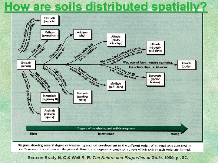 How are soils distributed spatially? Source: Brady N. C & Weil R. R. The