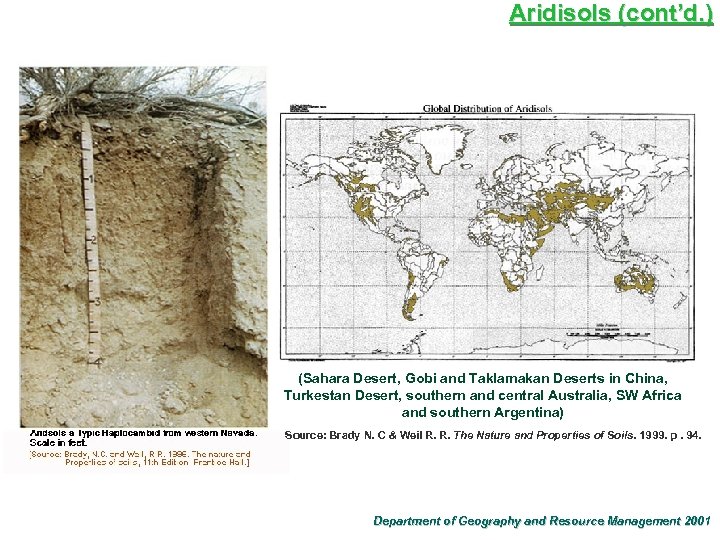 Aridisols (cont’d. ) (Sahara Desert, Gobi and Taklamakan Deserts in China, Turkestan Desert, southern
