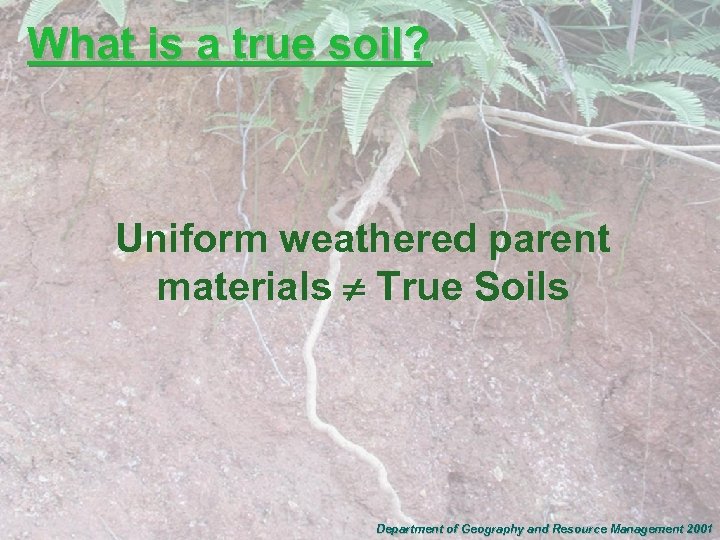 What is a true soil? Uniform weathered parent materials True Soils Department of Geography