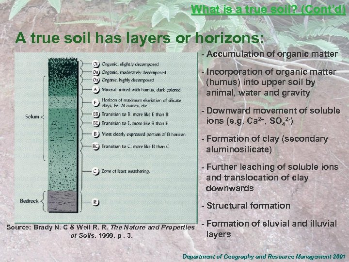 What is a true soil? (Cont’d) A true soil has layers or horizons: -