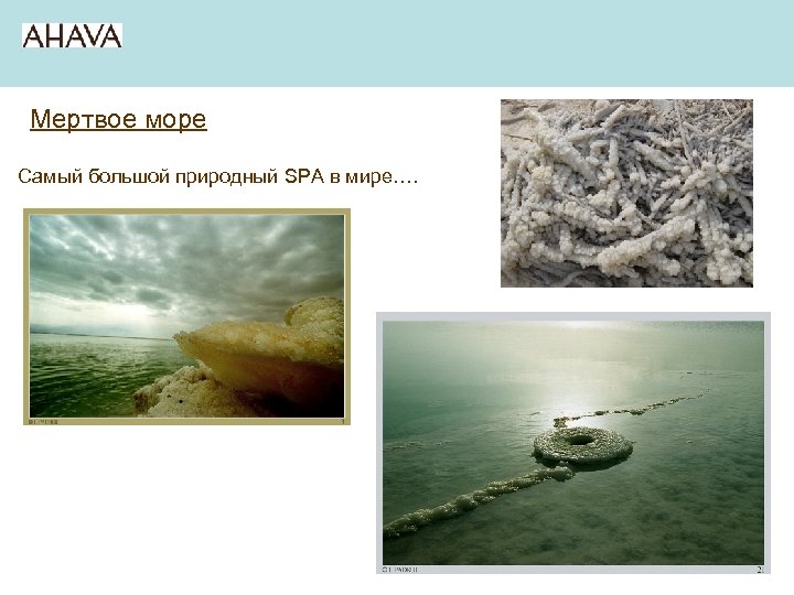 Мертвое море Самый большой природный SPA в мире…. 