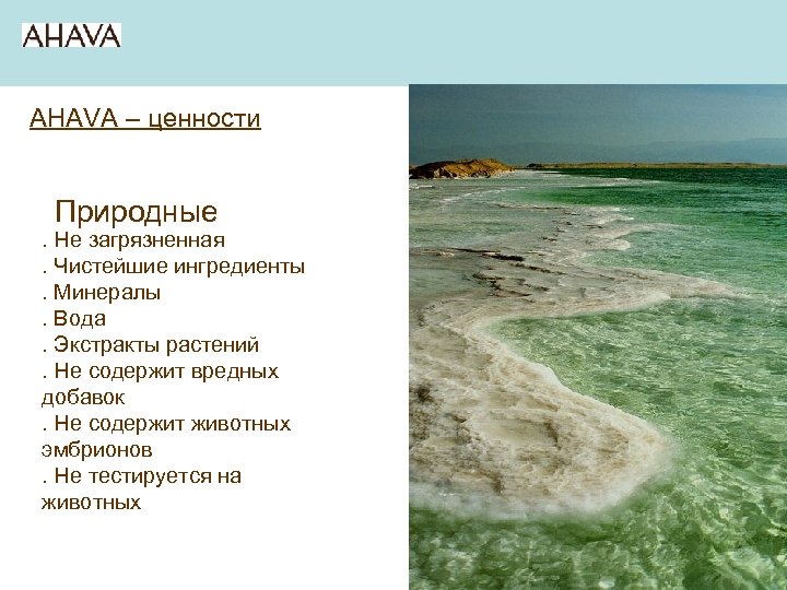 AHAVA – ценности Природные . Не загрязненная. Чистейшие ингредиенты. Минералы. Вода. Экстракты растений. Не