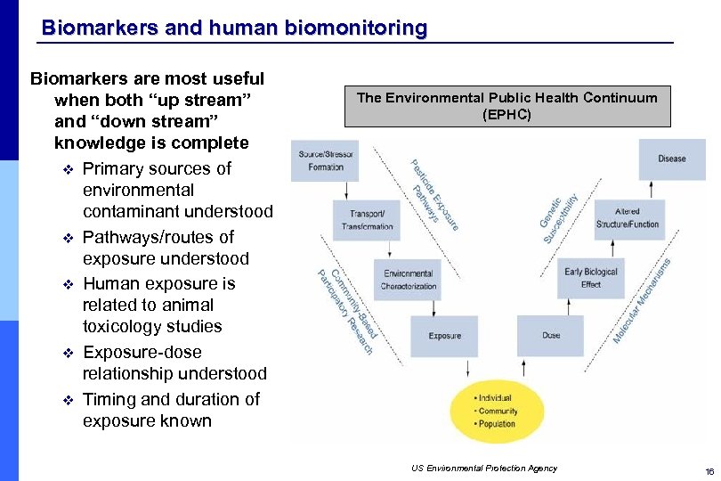 Biomarkers and human biomonitoring Biomarkers are most useful when both “up stream” and “down