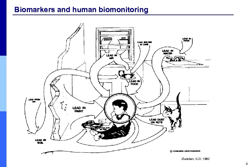 Biomarkers and human biomonitoring Guzelian, ILSI, 1992 8 