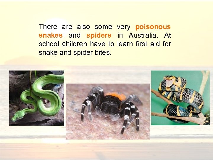 There also some very poisonous snakes and spiders in Australia. At school children have