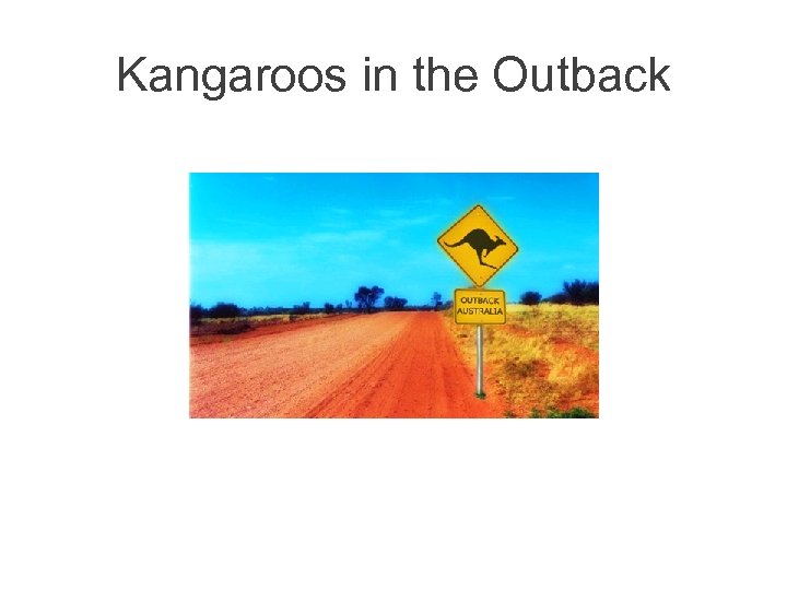 Kangaroos in the Outback 