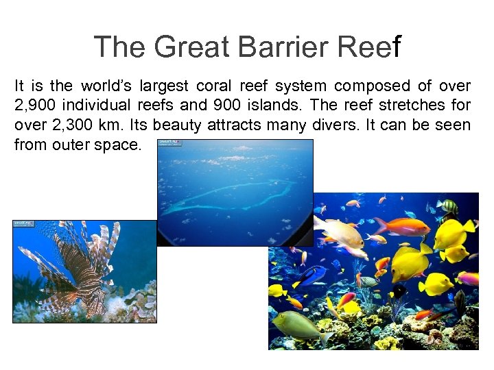 The Great Barrier Reef It is the world’s largest coral reef system composed of