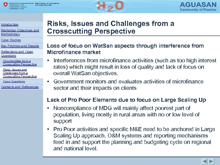 Introduction Workshop Objectives and Methodology Risks, Issues and Challenges from a Crosscutting Perspective Case
