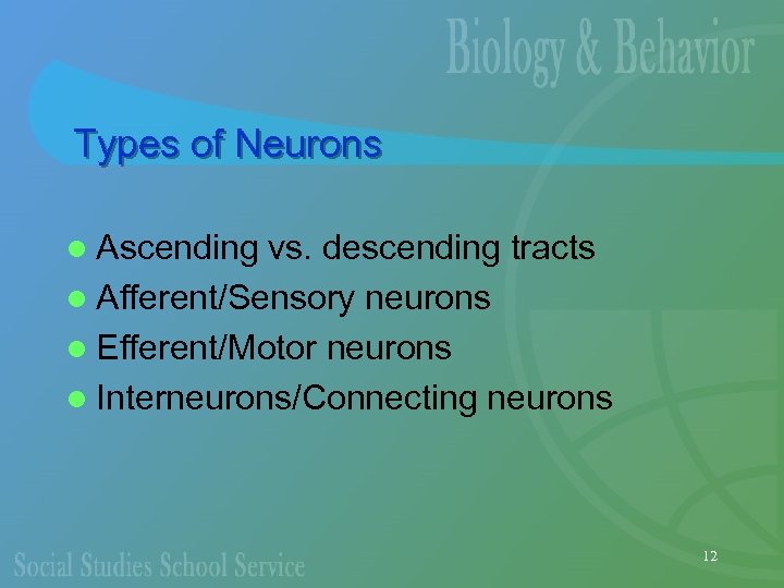 Types of Neurons l Ascending vs. descending tracts l Afferent/Sensory neurons l Efferent/Motor neurons