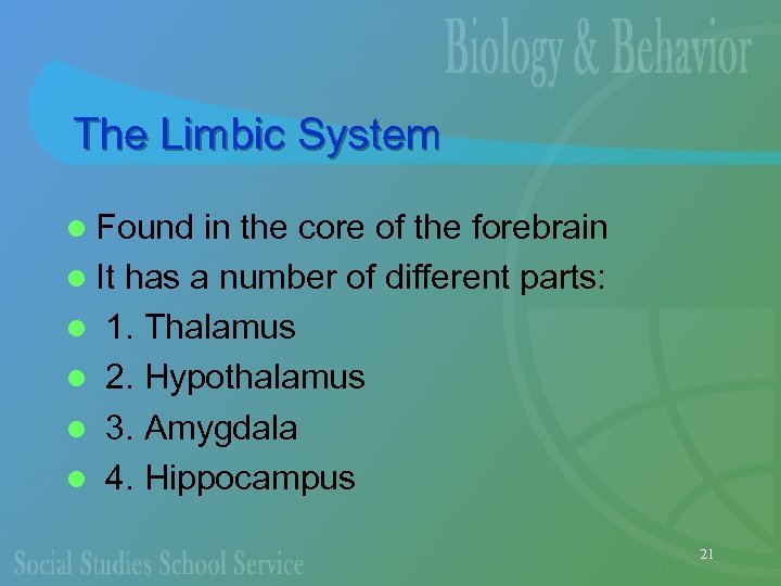 The Limbic System l Found in the core of the forebrain l It has