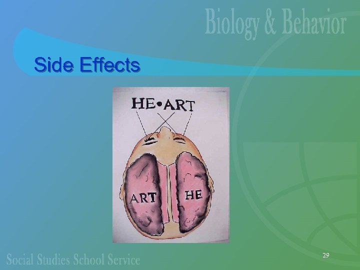Side Effects 29 