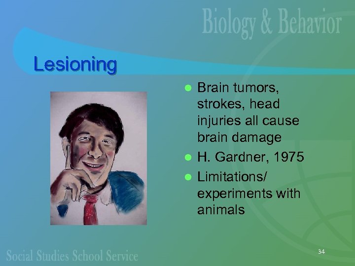 Lesioning Brain tumors, strokes, head injuries all cause brain damage l H. Gardner, 1975