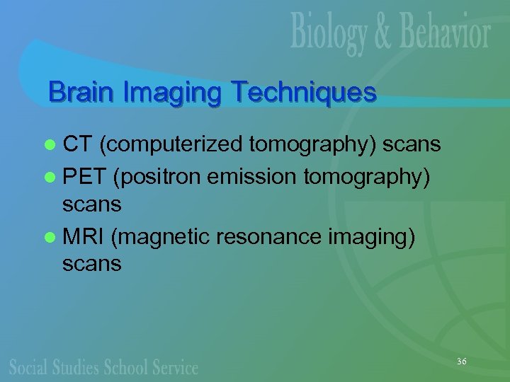 Brain Imaging Techniques l CT (computerized tomography) scans l PET (positron emission tomography) scans
