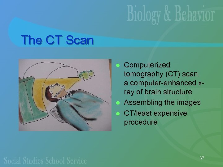 The CT Scan Computerized tomography (CT) scan: a computer-enhanced xray of brain structure l