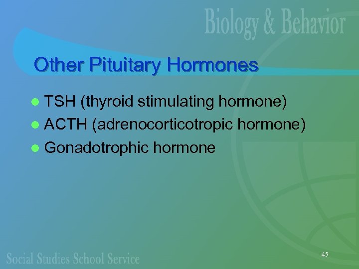 Other Pituitary Hormones l TSH (thyroid stimulating hormone) l ACTH (adrenocorticotropic hormone) l Gonadotrophic