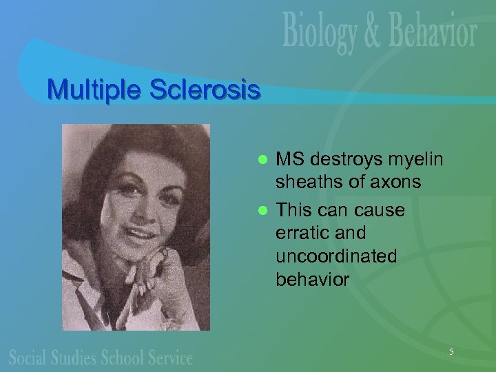 Multiple Sclerosis MS destroys myelin sheaths of axons l This can cause erratic and