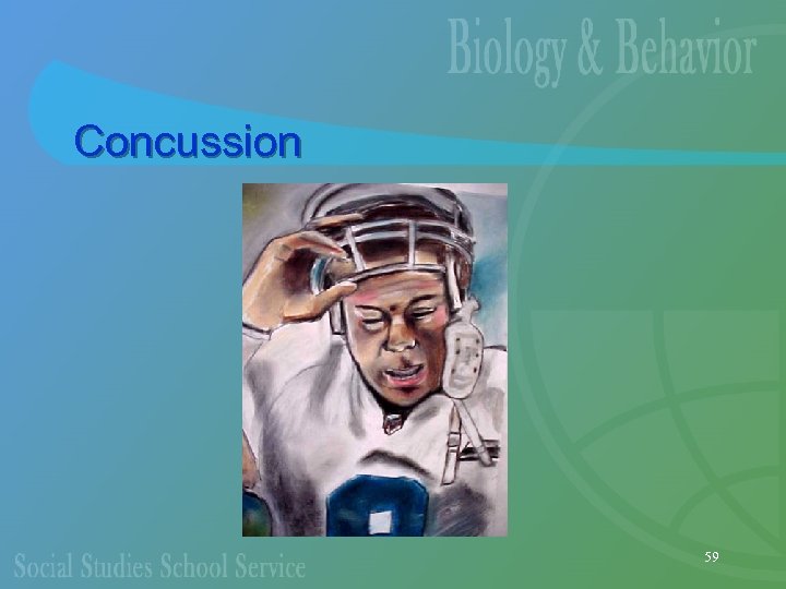 Concussion 59 