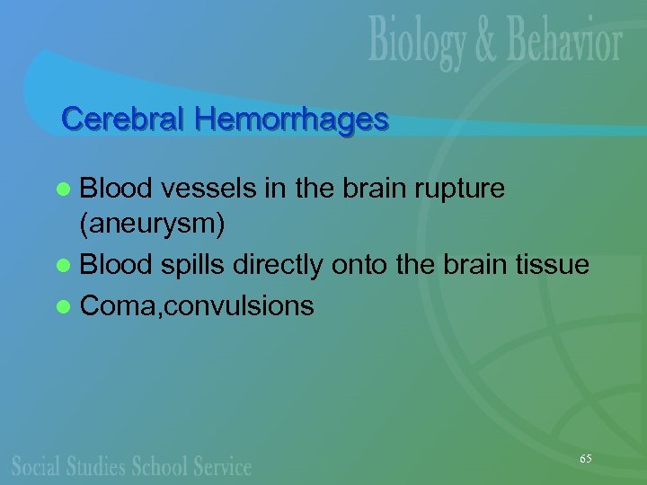 Cerebral Hemorrhages l Blood vessels in the brain rupture (aneurysm) l Blood spills directly