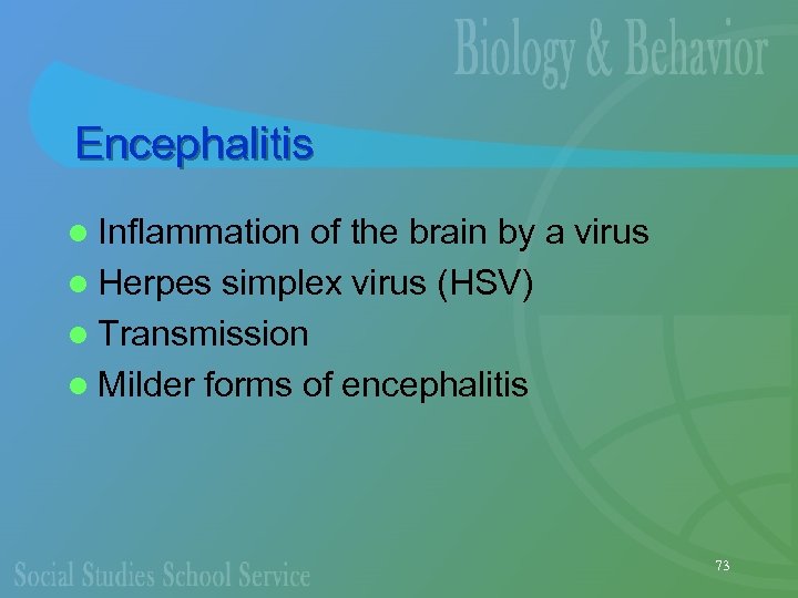 Encephalitis l Inflammation of the brain by a virus l Herpes simplex virus (HSV)