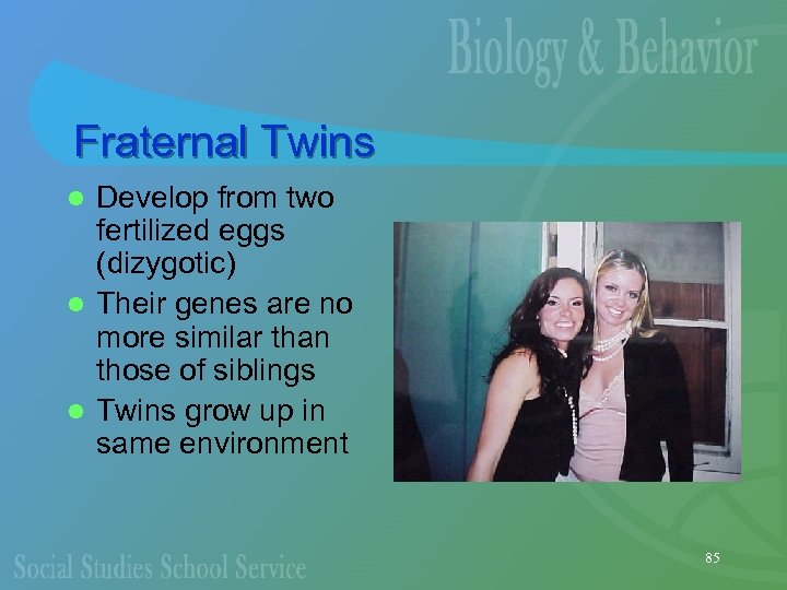 Fraternal Twins Develop from two fertilized eggs (dizygotic) l Their genes are no more