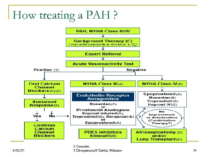 How treating a PAH ? 8/02/07 S. Couturier; T. Desquemack; N. Taleb; L. Willaume