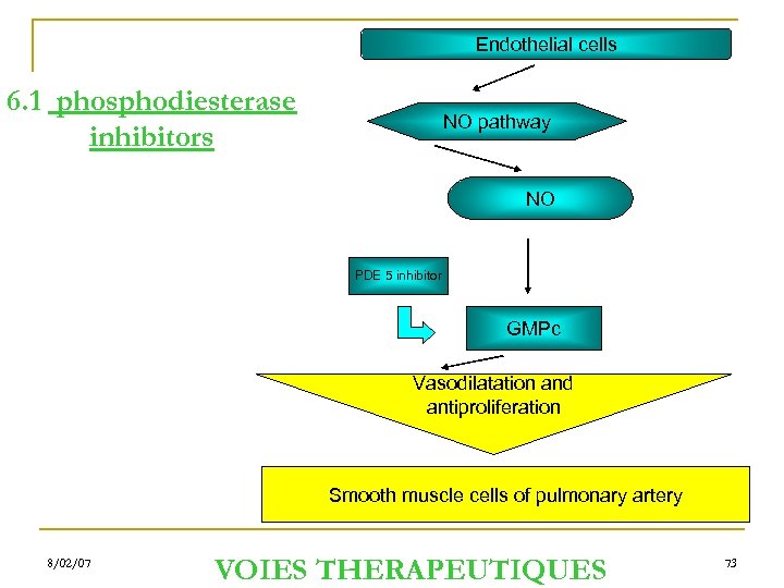 Endothelial cells 6. 1 phosphodiesterase inhibitors NO pathway NO PDE 5 inhibitor GMPc Vasodilatation