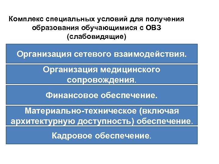 Комплекс специальных условий для получения образования обучающимися с ОВЗ (слабовидящие) Организация сетевого взаимодействия. Организация